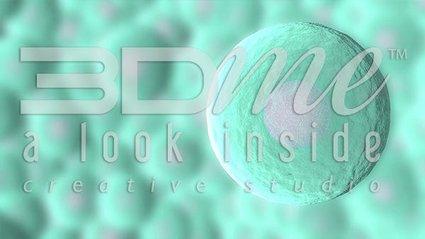 Body To Antioxidant Cell Basic Zoom