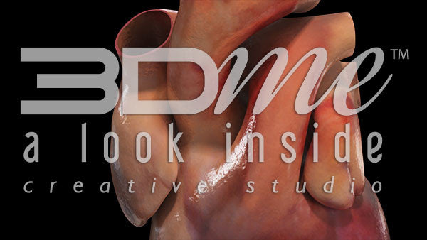 Zoom Into The Heart Basic