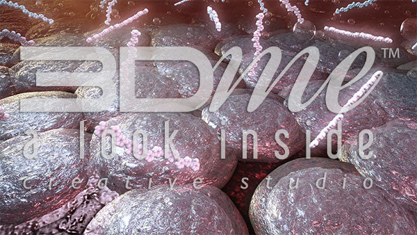 Adipose (fat) Tissue and Fatty Acids 2