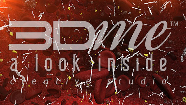 Blood Cells, Fatty Acids and Glucose 2