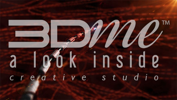 Blood Vessels and Nerve Cells