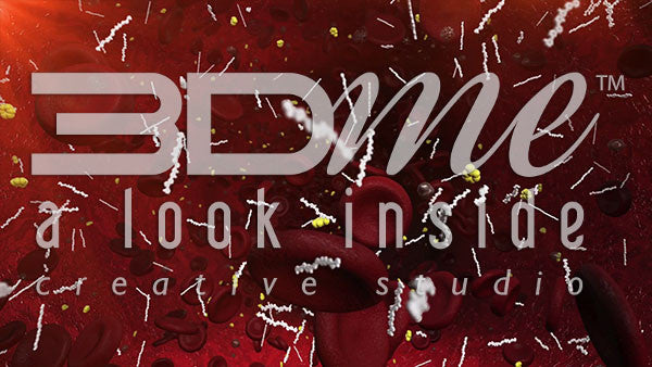 Bloodstream and Fatty Acids