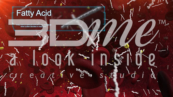 Bloodstream and Fatty Acids (with graphic text)