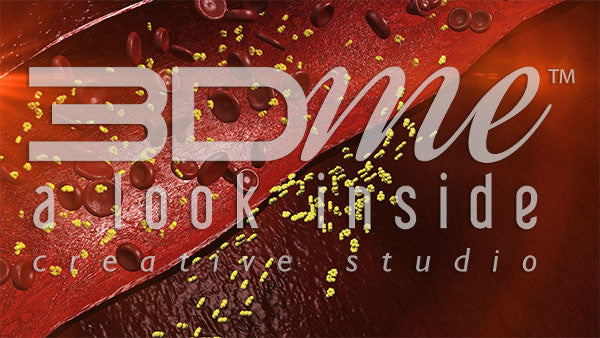 Glucose in the Bloodstream 2