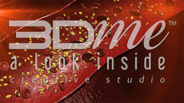 Glucose in the Bloodstream 3