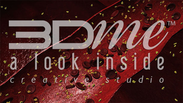 Bloodstream and Glucose 2