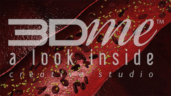 Bloodstream and Glucose