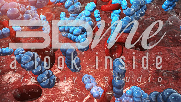 Glycogenolysis in the Bloodstream 2