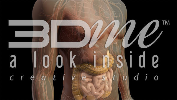 Body absorption Basic 1