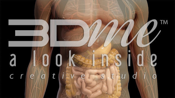 Body Absorption Basic 2