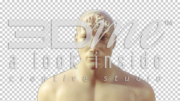 Brain Glowing Basic 3