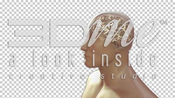 Brain Glowing Basic 2