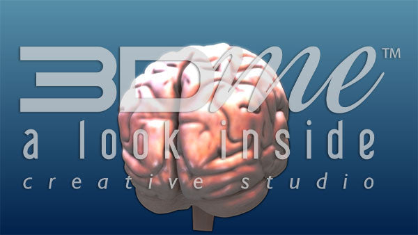 Brain Intermediate