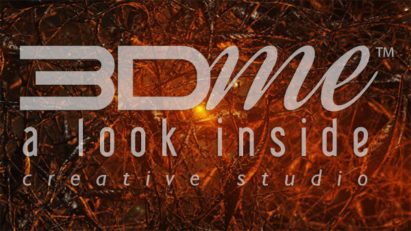 Brain Neuron Activity