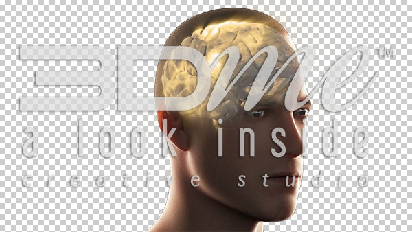 Brain Rotate Noise 3