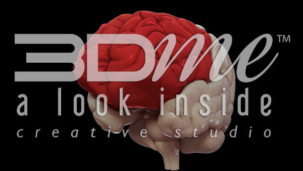 Brain Rotate Pan Left Top 2