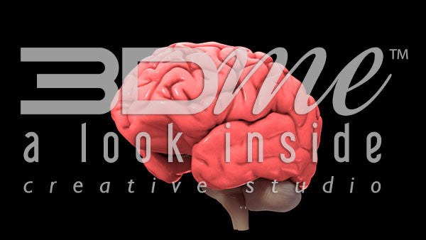 Brain Rotate Pan Left