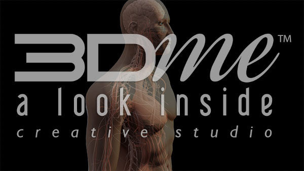 Central Nervous System 1