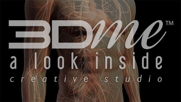 Central Nervous System 2