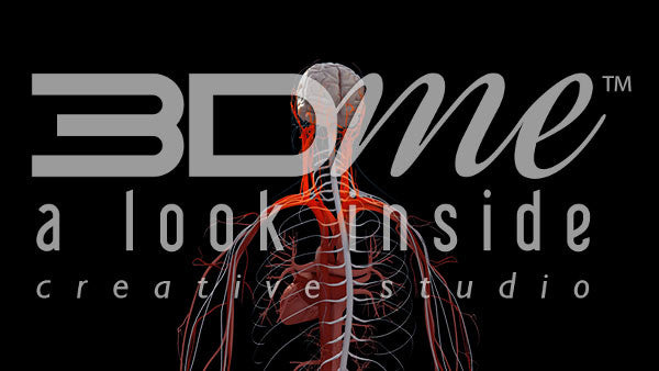 Central Nervous System Rotate