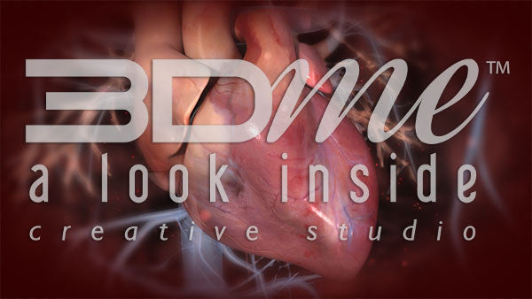 Chest to Beating Heart 2