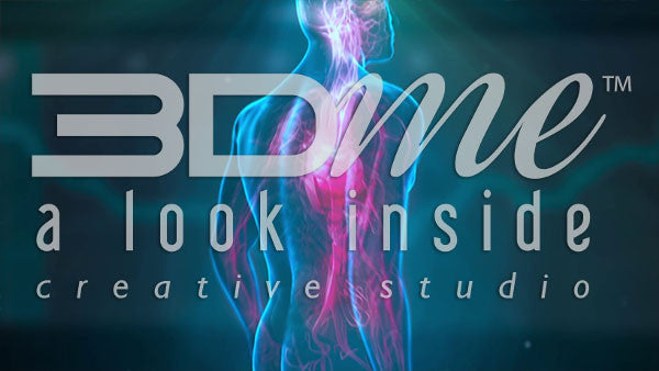 Cardiovascular System Pulses