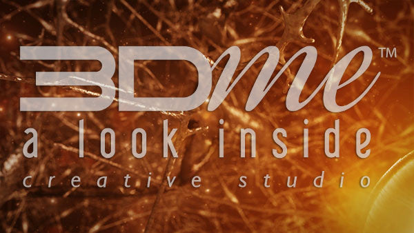 Dopamine Activity Deterioration 2