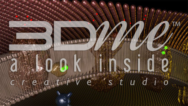 Electron Transport Chain 3