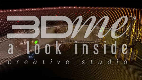 Electron Transport Chain 4