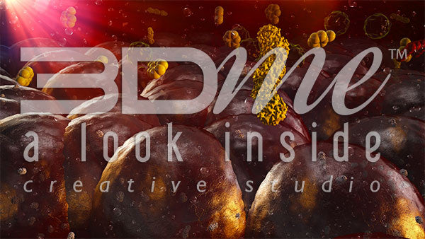 Enzyme alpha-glucosidase cells 2