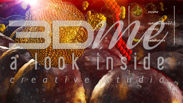 Enzyme alpha-glucosidase cells 3