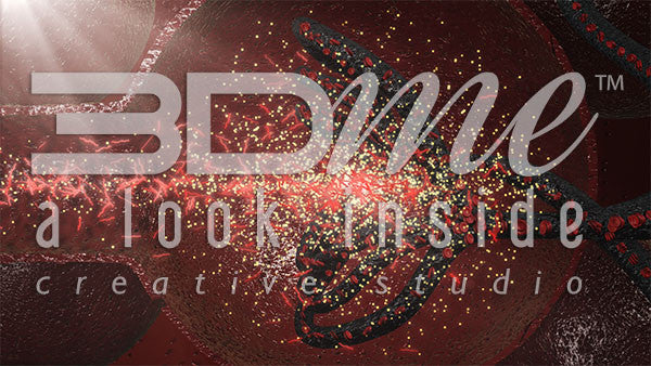 Glomerilli capsule diseased proteins glucose