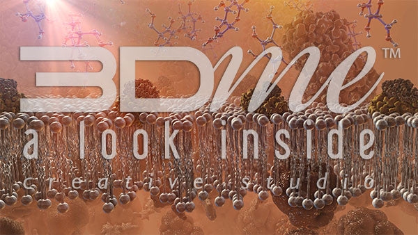 Cell Membrane, Glucose and Insulin 3