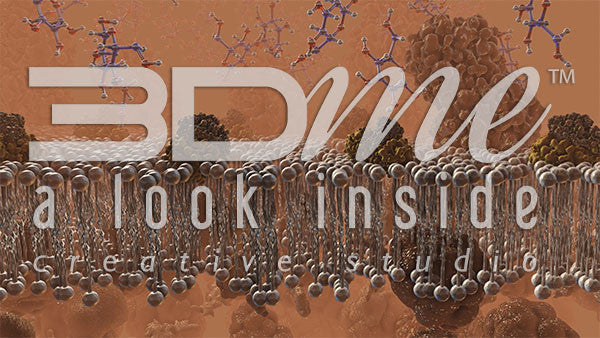 Cell Membrane, Glucose and Insulin 4