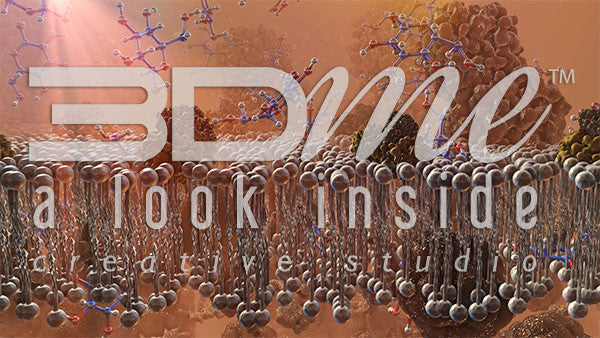 Cell Membrane, Glucose and Insulin 5