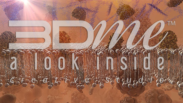 Cell Membrane, Glucose and Insulin 7