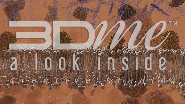 Cell Membrane, Glucose and Insulin 8