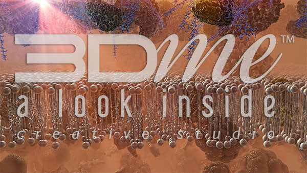 Cell Membrane, Glucose and Insulin 9