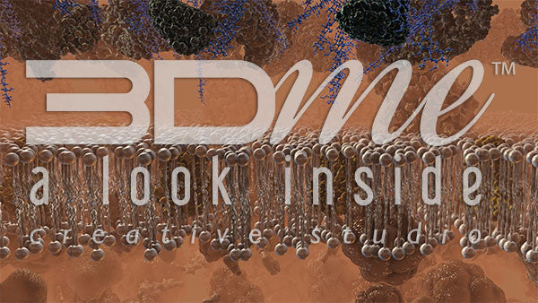 Cell Membrane, Glucose and Insulin 10