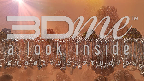 Cell Membrane, Glucose and Insulin