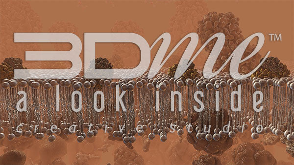 Cell Membrane, Glucose and Insulin 2