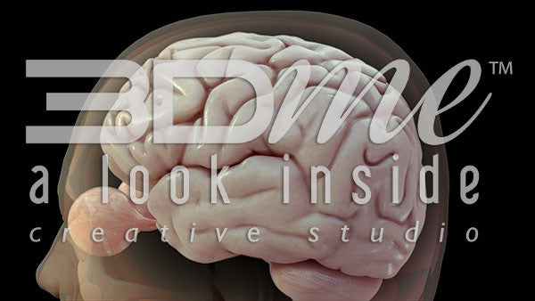 Head Trans Brain Turntable