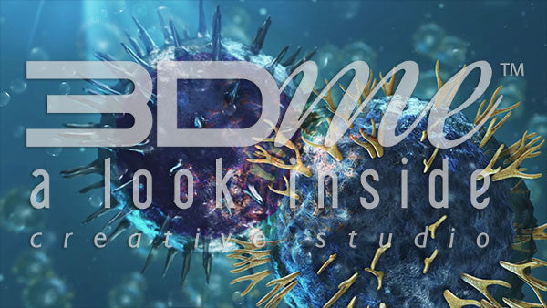 Helper T-Cell and B-Cell (no text)