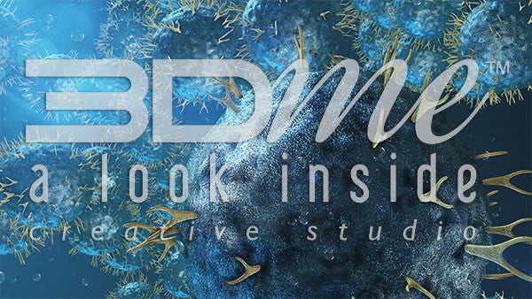 Helper T Cells and B Cells 8