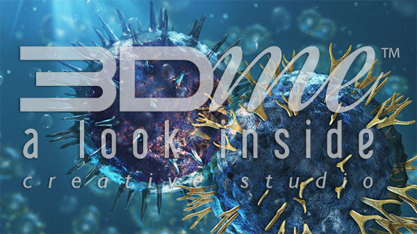 Helper T Cells and B Cells 9