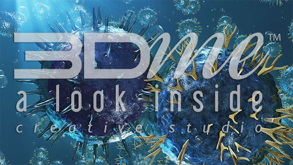 Helper T Cells and B Cells 12