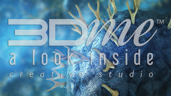 Helper T Cells and B Cells 1