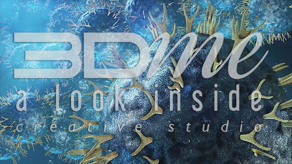 Helper T-Cell (no DOF)