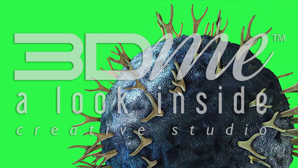 Helper T-Cell (greenscreen)