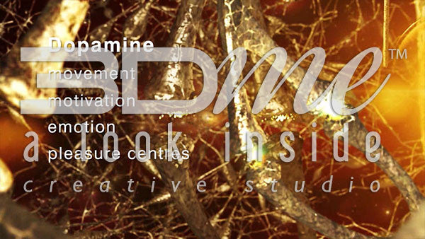 How does dopamine and serotonin affect the body?